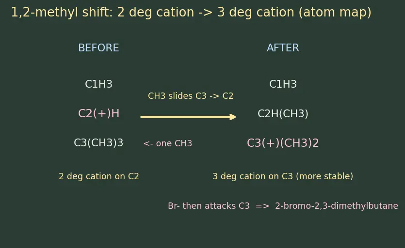 Figure — Alkenes — preparation (dehydration, dehydrohalogenation, Zaitsev's rule), addition reactions