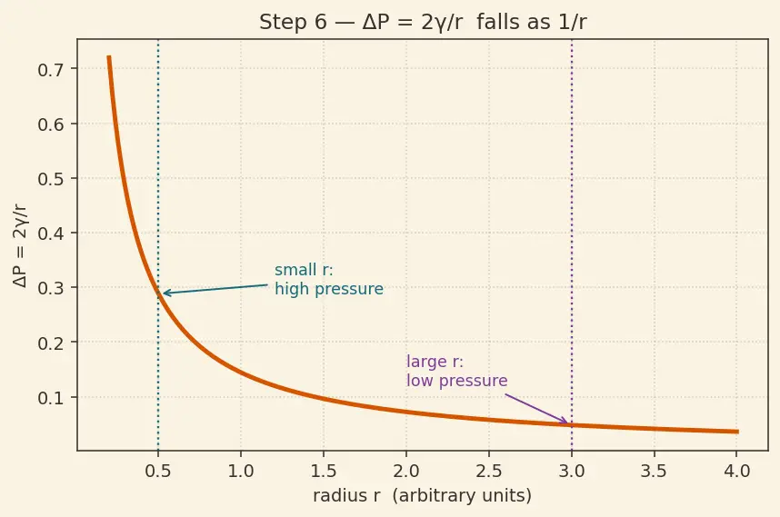Figure — Surface tension — origin, Young-Laplace equation