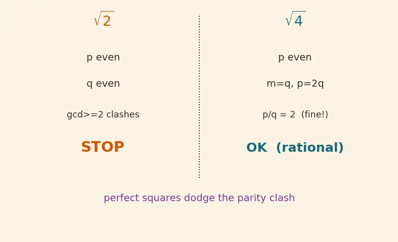 Figure — Irrational numbers — √2, π, e — proof that √2 is irrational