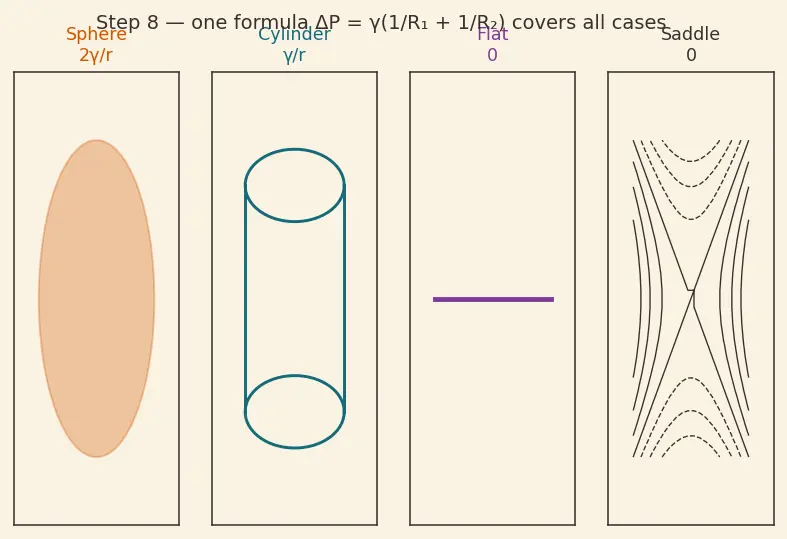 Figure — Surface tension — origin, Young-Laplace equation
