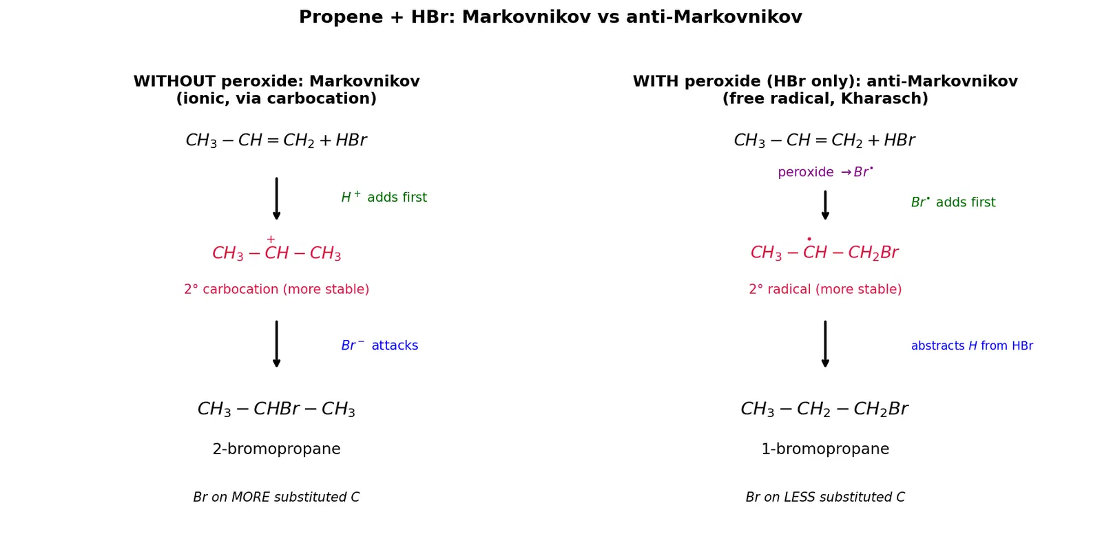 Figure — Markovnikov vs anti-Markovnikov (peroxide effect, Kharasch)