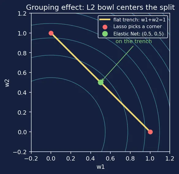 Figure — Elastic Net regularization