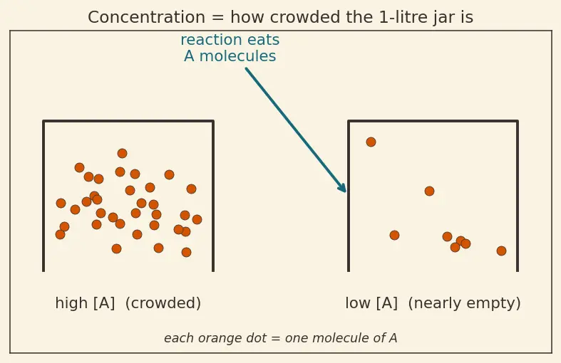 Figure — Rate of reaction — average vs instantaneous