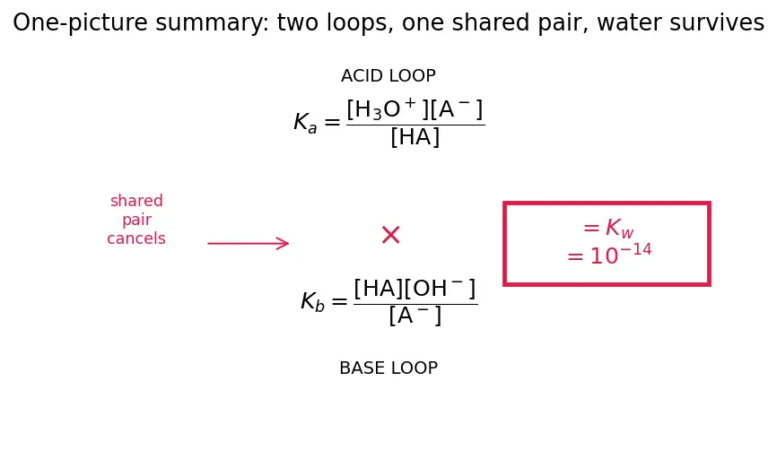 Figure — Conjugate acid-base pairs
