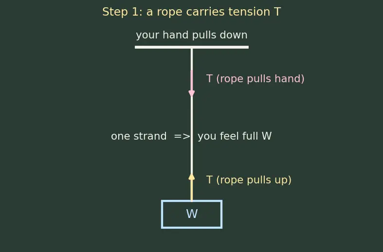 Figure — Pulley systems — mechanical advantage