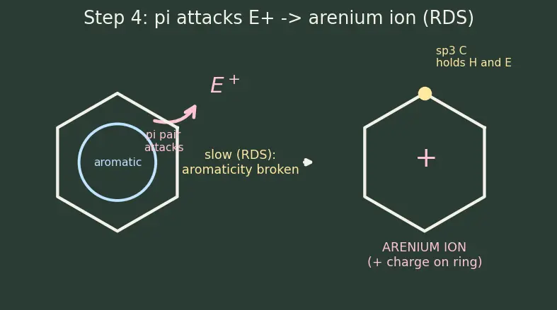 Figure — Electrophilic aromatic substitution (EAS) — nitration, halogenation, sulfonation, Friedel-Crafts alkylation - acylation;