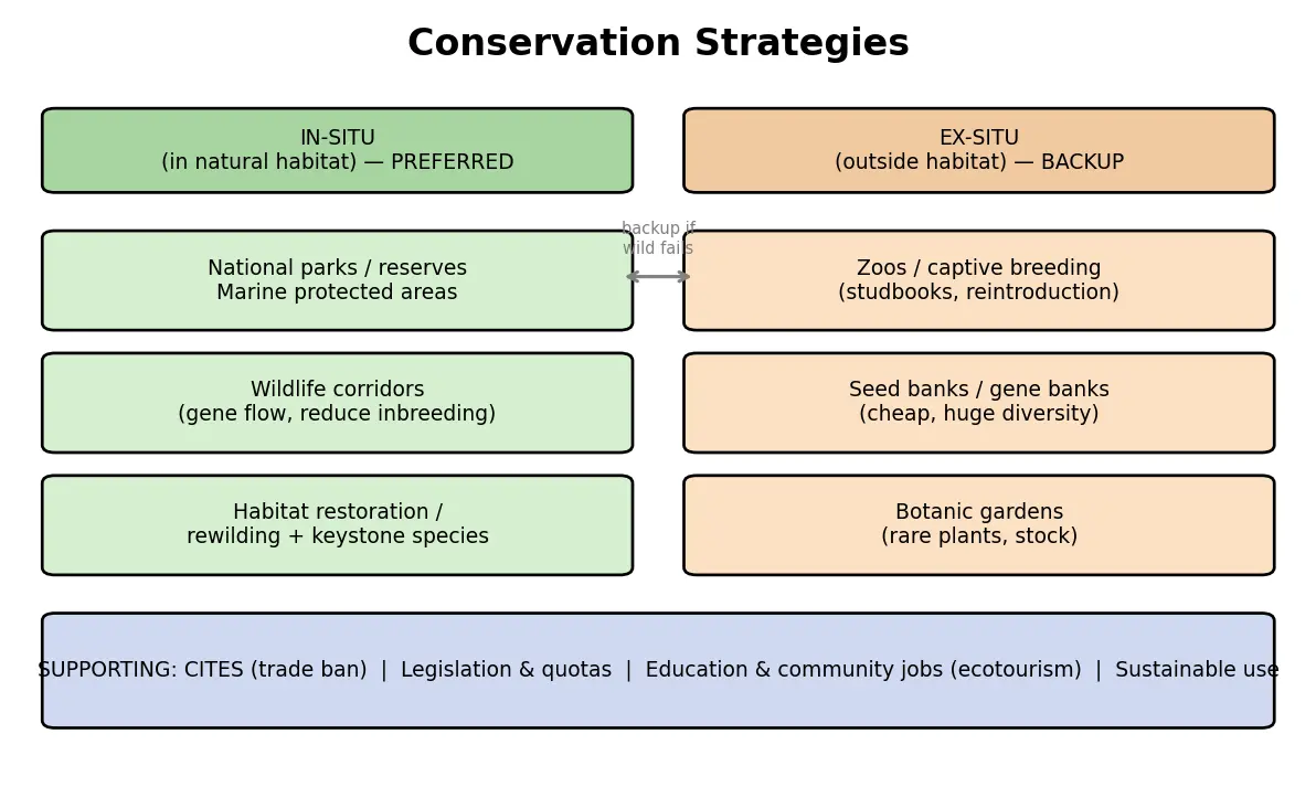 Figure — Describe conservation strategies