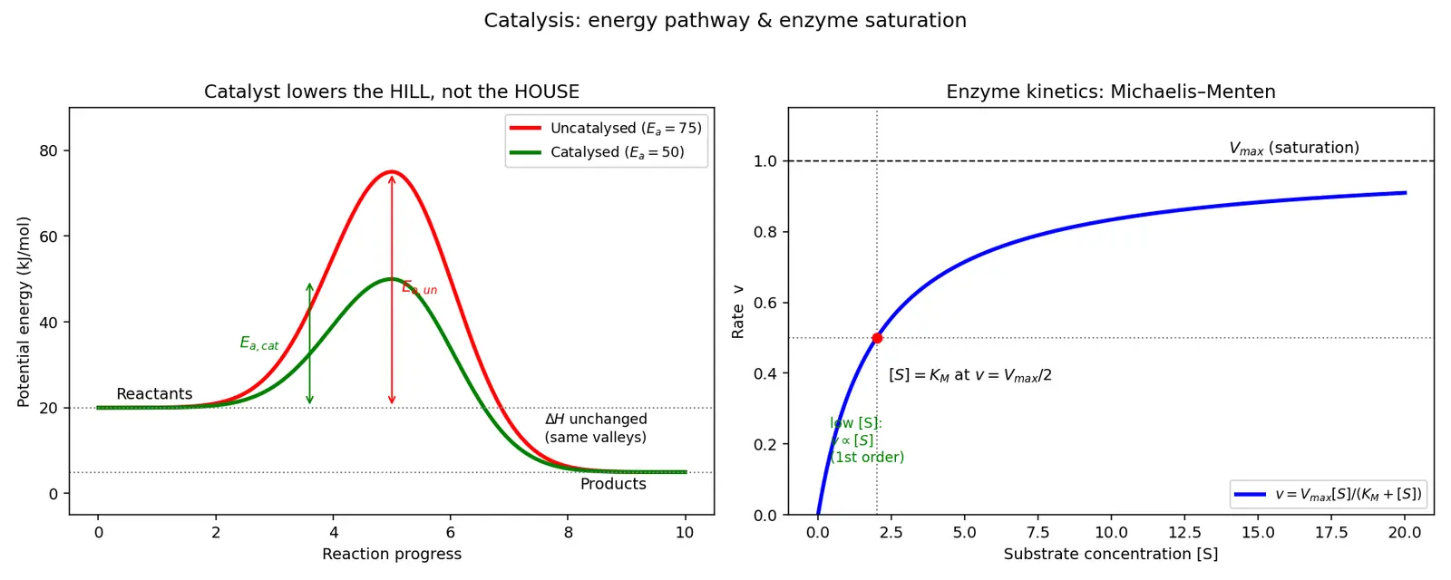 Figure — Catalysis — homogeneous, heterogeneous, enzyme catalysis