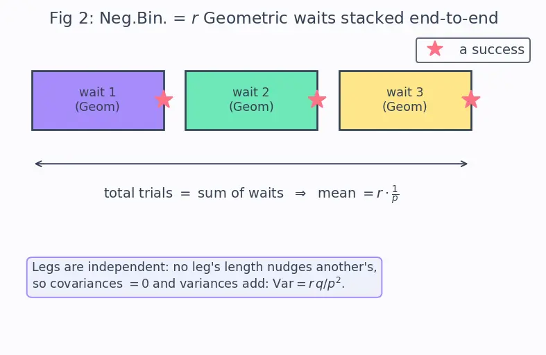 Figure — Common discrete distributions — Bernoulli, Binomial, Poisson, Geometric, Negative Binomial