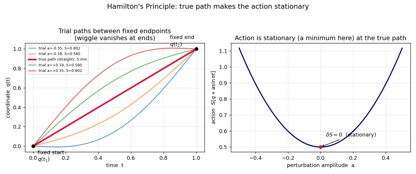 Figure — Hamilton's principle — least action