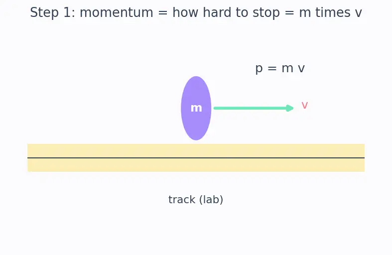 Figure — Relativistic momentum p = γmv