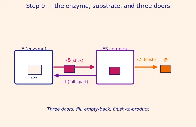 Figure — Catalysis — homogeneous, heterogeneous, enzyme catalysis