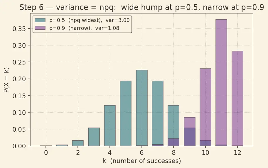 Figure — Binomial distribution — PMF, mean, variance