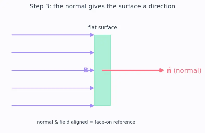 Figure — Magnetic flux Φ = ∫B·dA