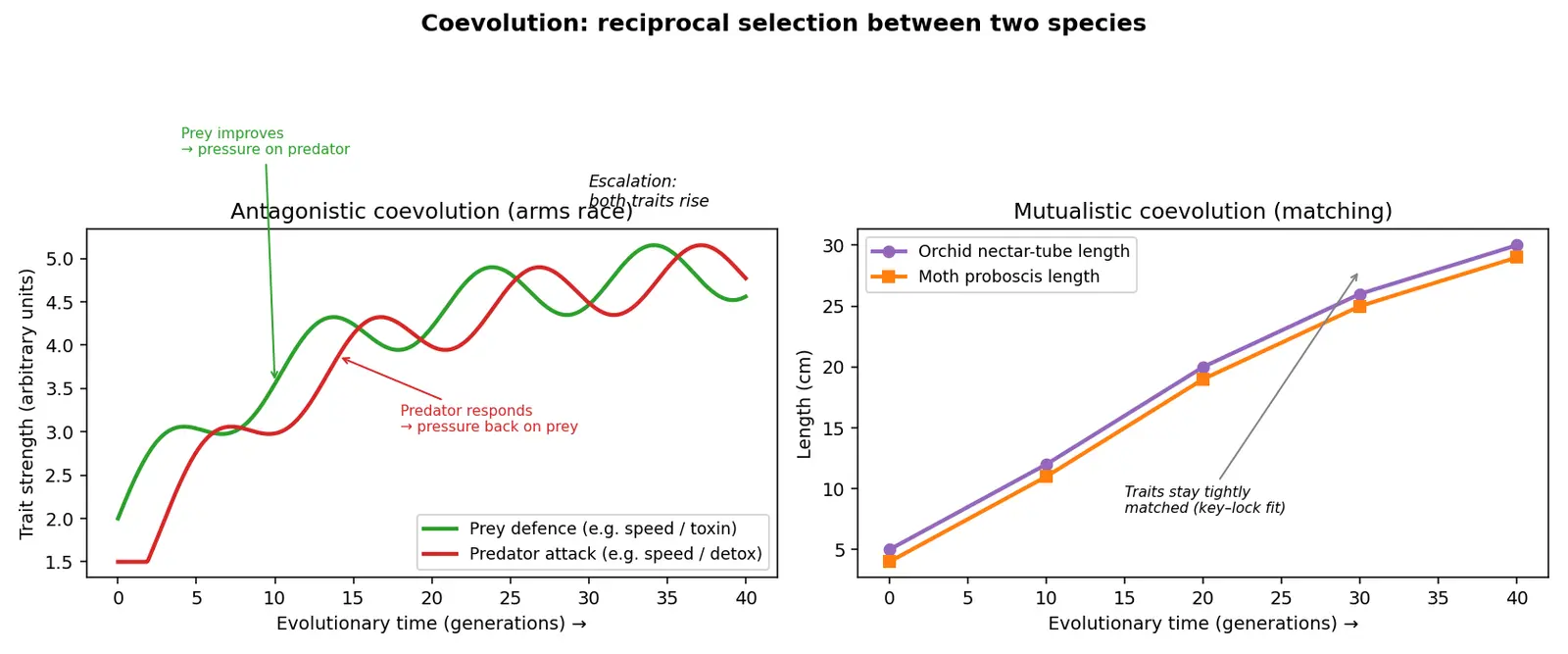 Figure — Describe coevolution
