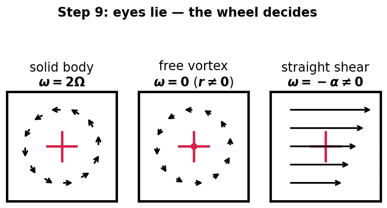 Figure — Vorticity — ω = ∇ × v, circulation Γ