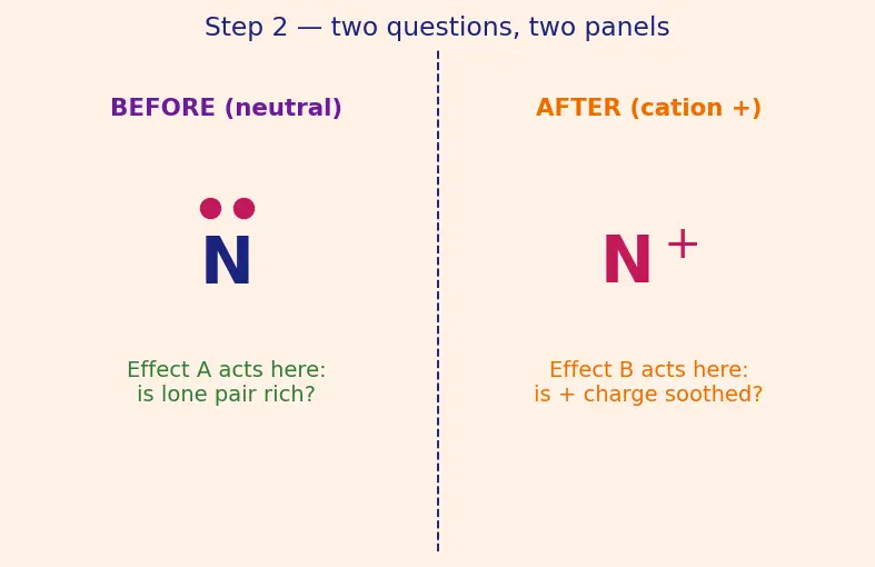 Figure — Amines — basicity (alkyl  -  NH₃  -  aryl in water; reverse in gas phase), Hofmann elimination, carbylamine, Hinsberg te