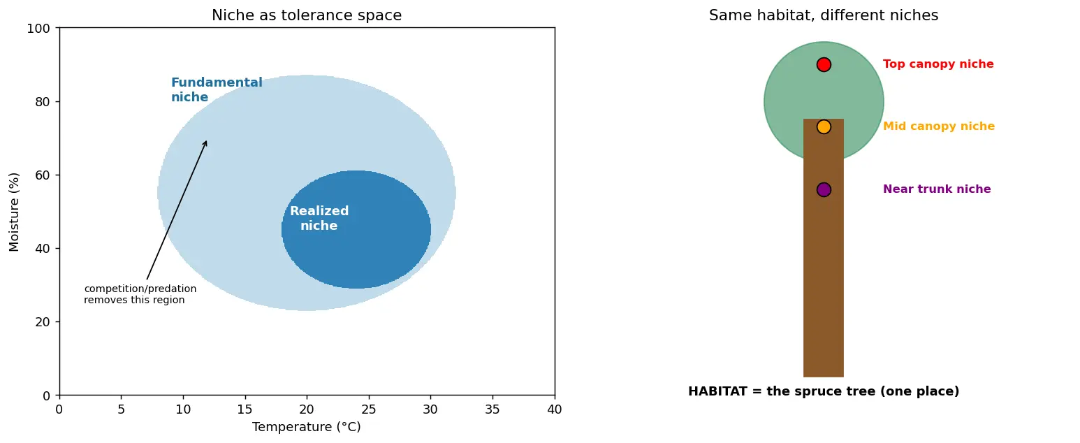 Figure — Describe habitat and ecological niche