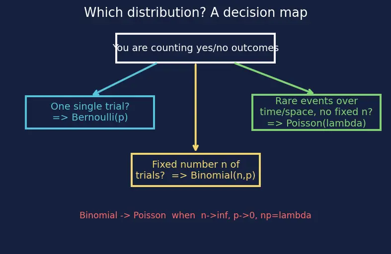 Figure — Common distributions (Bernoulli, Binomial, Poisson)