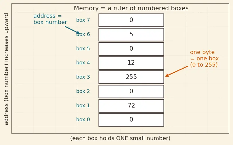 Figure — Memory layout — text, data, BSS, heap, stack segments