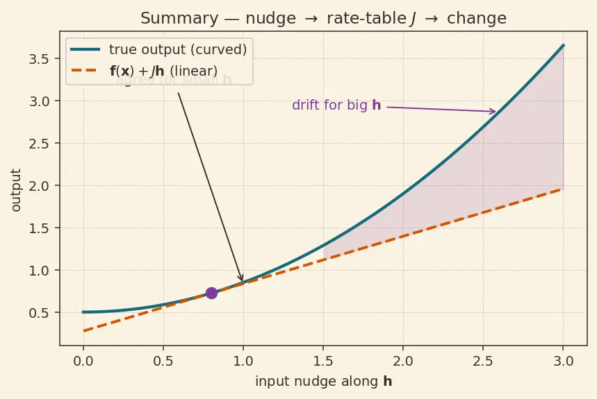 Figure — The Jacobian matrix