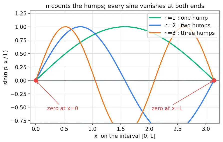 Figure — Half-range sine and cosine series