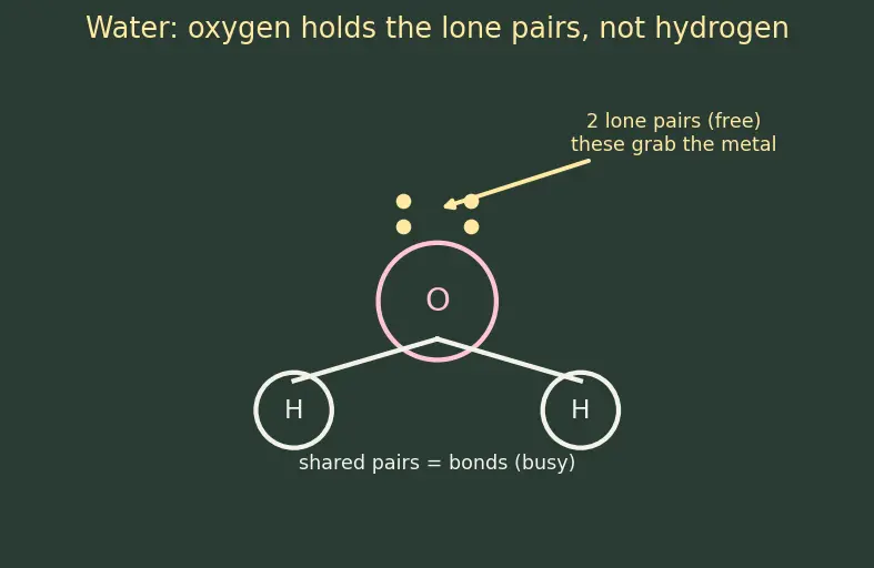 Figure — Ligands — classification (mono, bi, poly, ambidentate, chelating); denticity