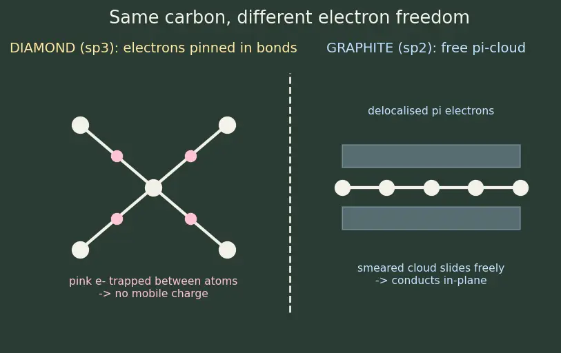 Figure — Group 14 (Carbon family) — allotropes of C (diamond, graphite, fullerenes, graphene, CNTs)