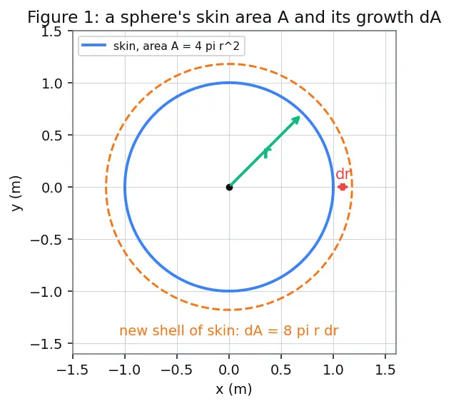 Figure — Surface tension — origin, Young-Laplace equation