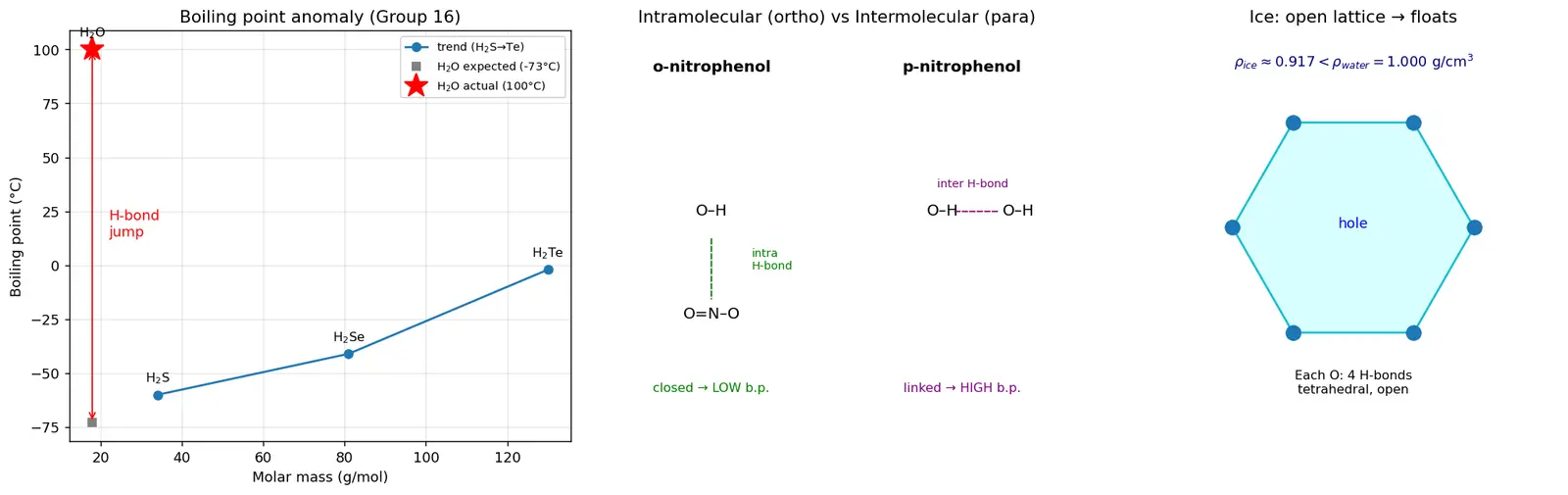Figure — Hydrogen bonding — intermolecular, intramolecular; consequences (boiling points, water density)