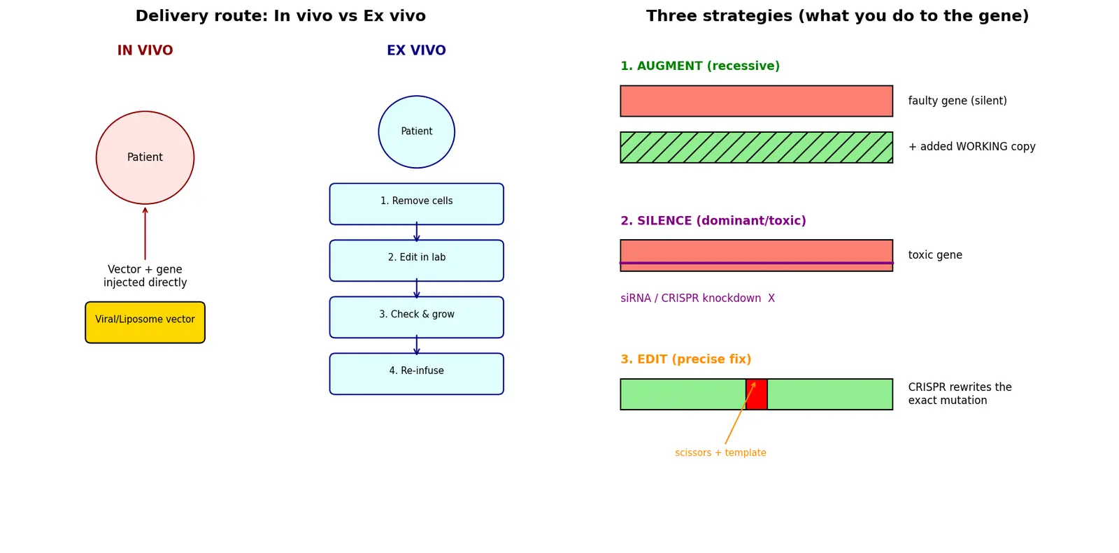 Figure — Describe gene therapy approaches
