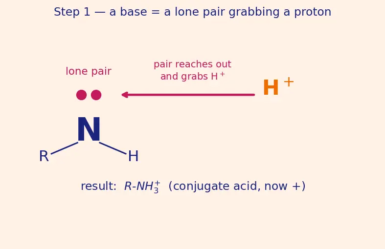 Figure — Amines — basicity (alkyl  -  NH₃  -  aryl in water; reverse in gas phase), Hofmann elimination, carbylamine, Hinsberg te