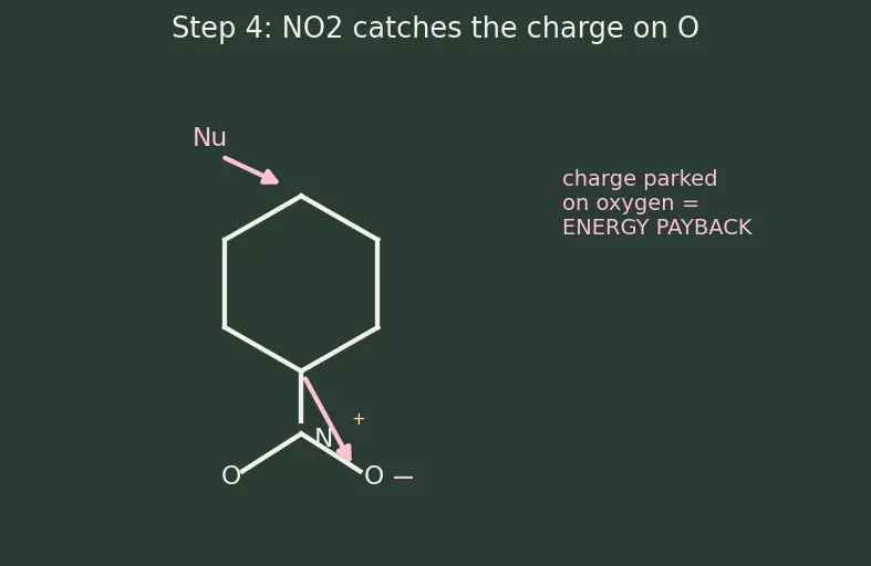 Figure — Aryl halides — low reactivity, addition-elimination (benzyne mechanism), nucleophilic aromatic substitution