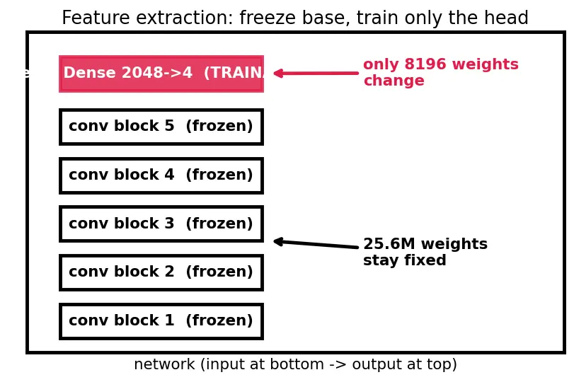 Figure — Transfer learning and fine-tuning
