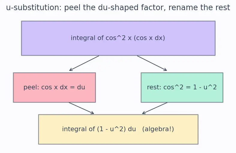 Figure — Trigonometric integrals — sinᵐ·cosⁿ cases, tan and sec cases