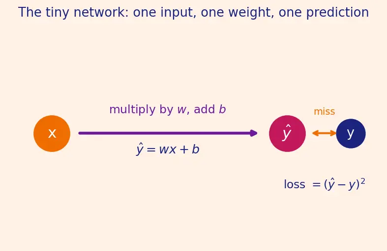 Figure — Training loops from scratch