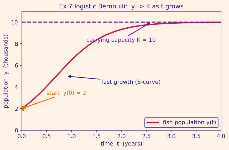 Figure — Bernoulli equations — substitution
