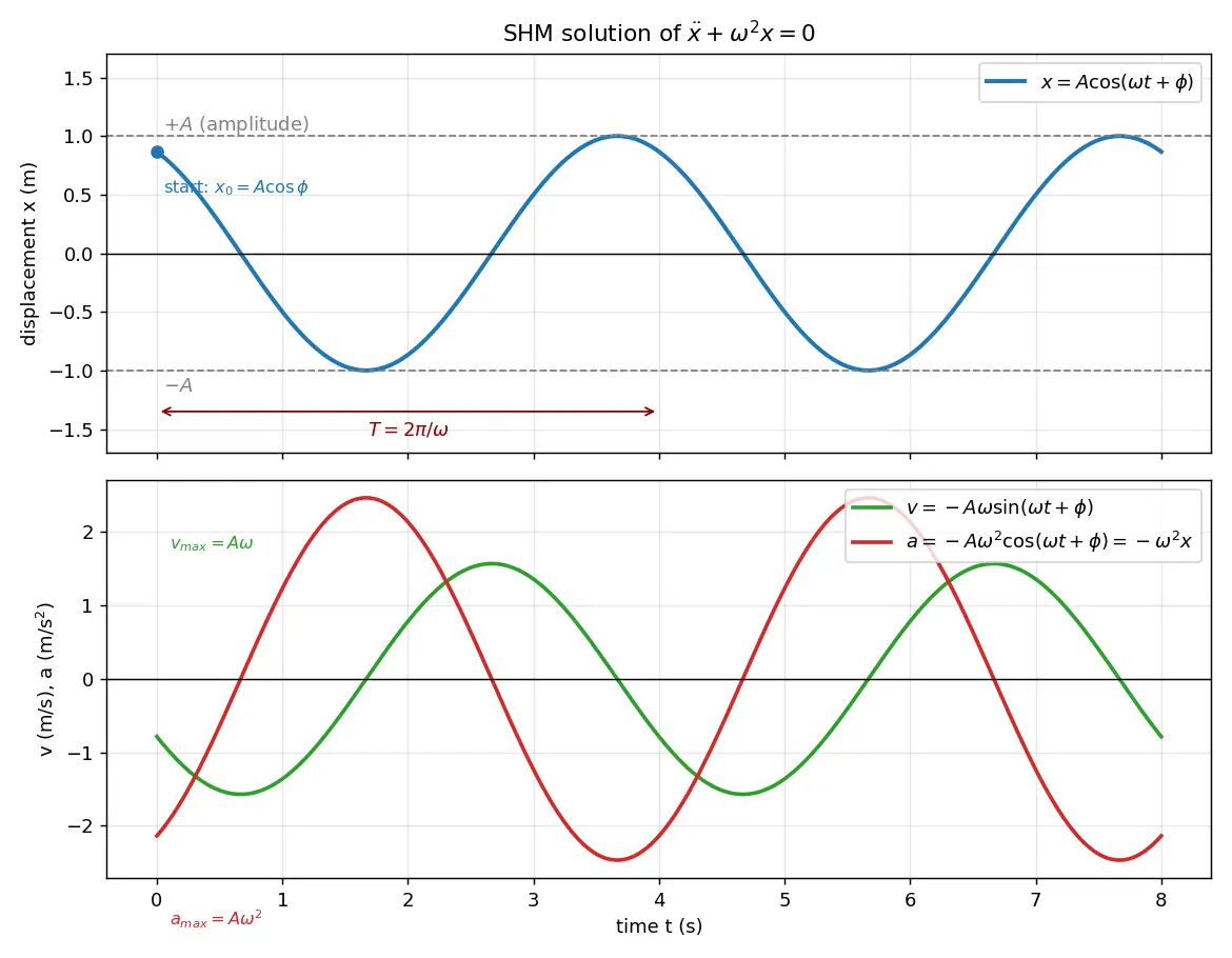 Figure — SHM differential equation — solution -  x = A cos(ωt + φ)