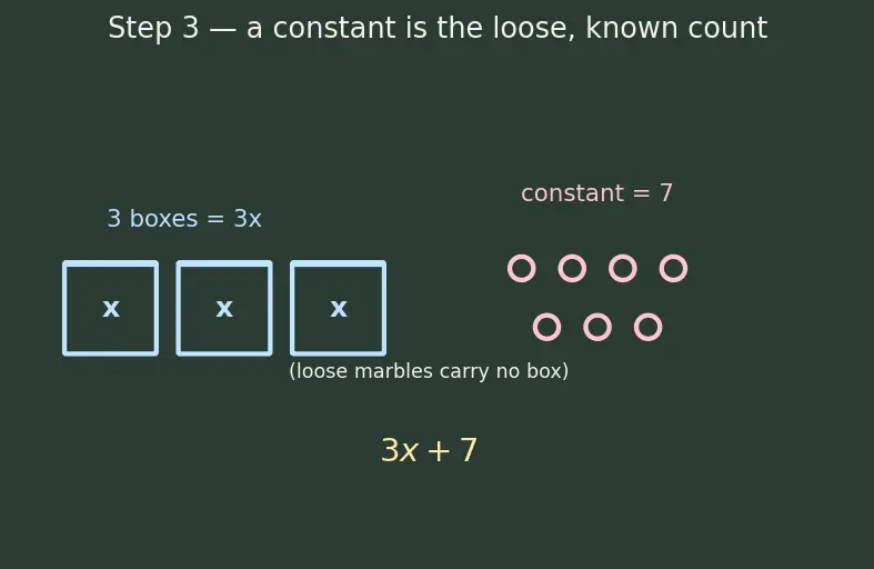 Figure — Variables, constants, coefficients — algebraic expressions