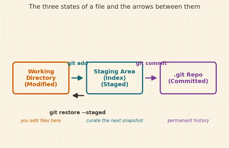 Figure — Git version control basics