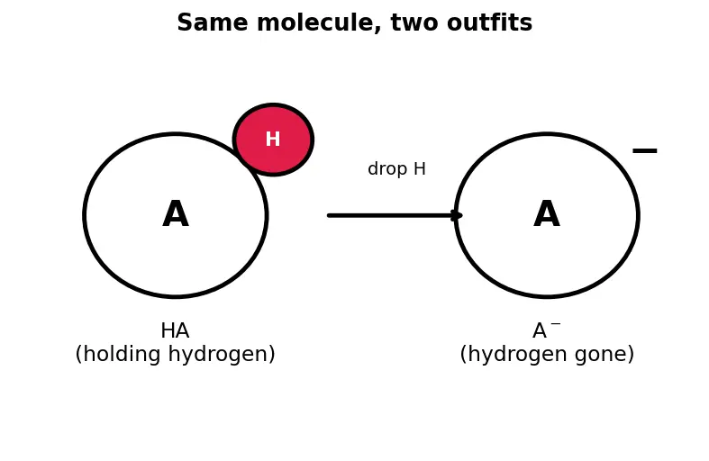 Figure — Buffer solutions — Henderson-Hasselbalch equation