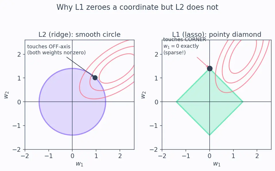 Figure — Regularization — L1 (lasso), L2 (ridge), dropout