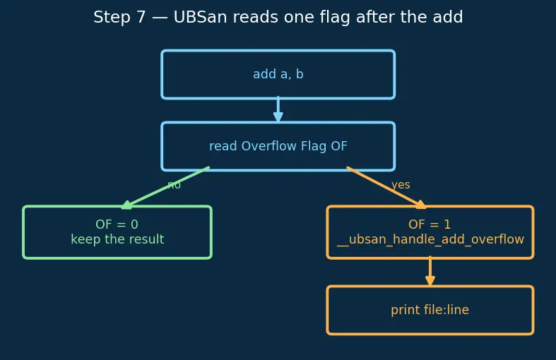 Figure — Undefined Behavior Sanitizer (UBSan)