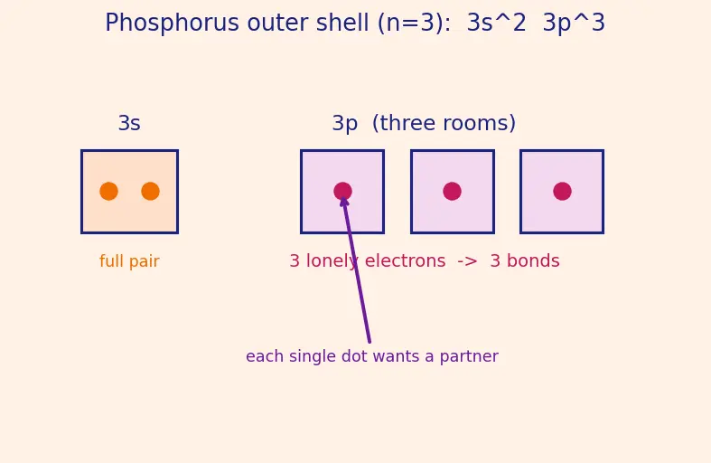 Figure — Phosphorus allotropes (white, red, black); P₄O₆, P₄O₁₀; oxoacids of P (H₃PO₃ vs H₃PO₄ basicity)