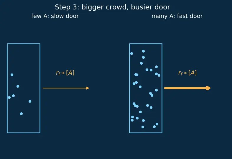 Figure — Reversible reactions and dynamic equilibrium