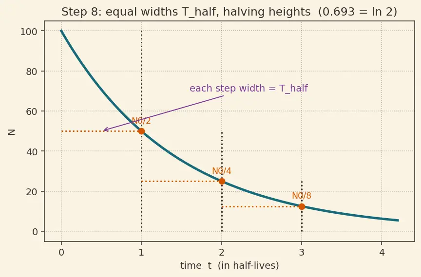 Figure — Decay law — N = N₀ e^(−λt), half-life, activity