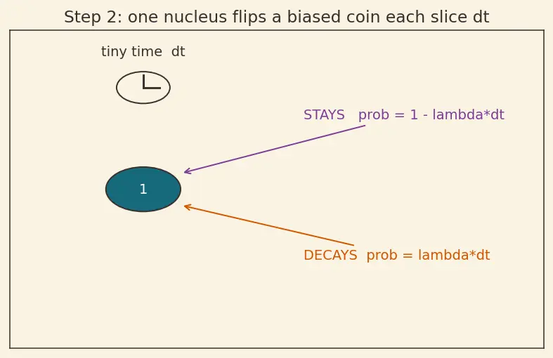 Figure — Decay law — N = N₀ e^(−λt), half-life, activity