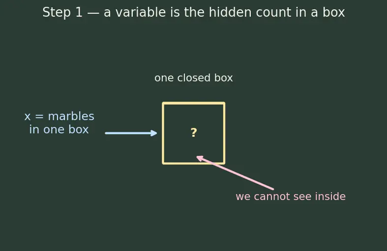 Figure — Variables, constants, coefficients — algebraic expressions