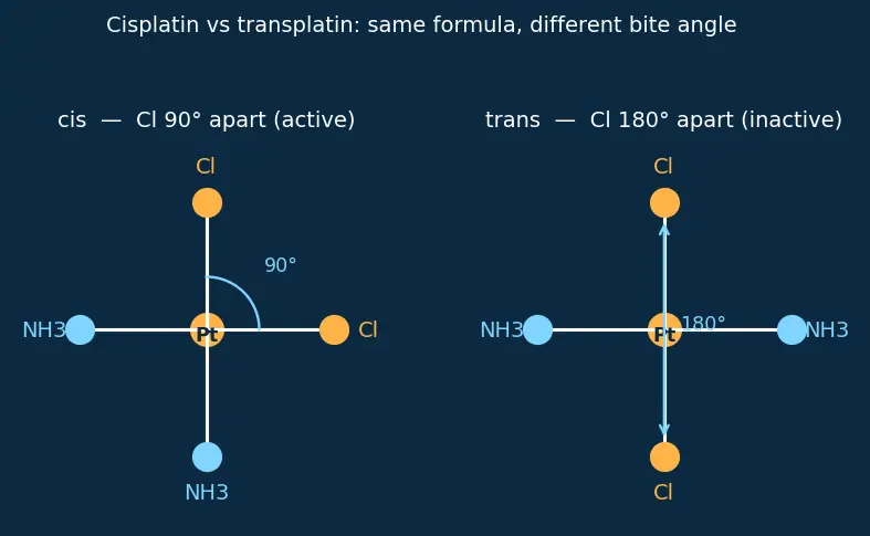 Figure — Applications — biological (haemoglobin, chlorophyll, vit B₁₂), medicinal (cisplatin), industrial (catalysts)