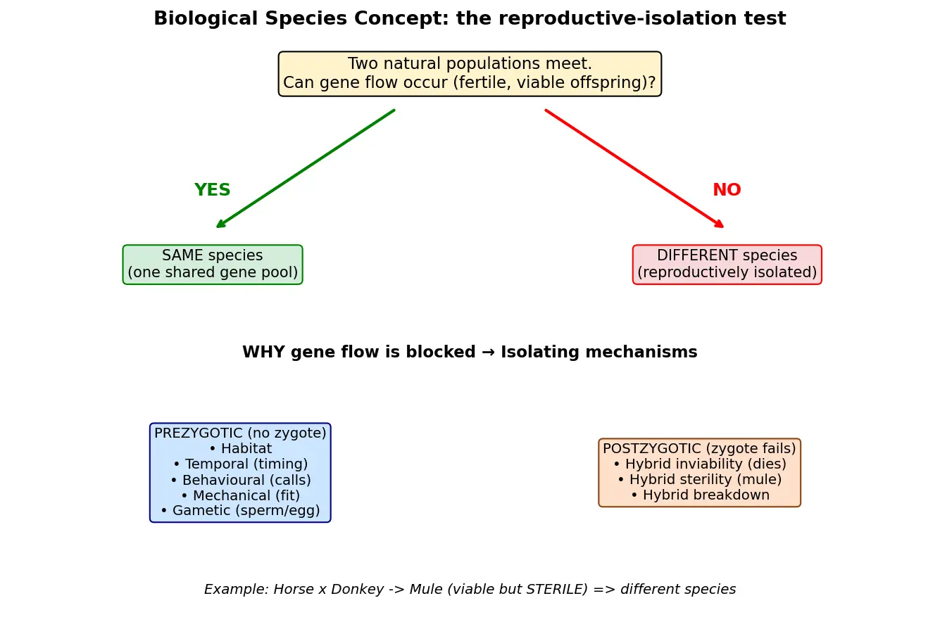 Figure — Define species (biological species concept)